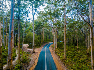 BF003 - Boranup Forest, W.A.