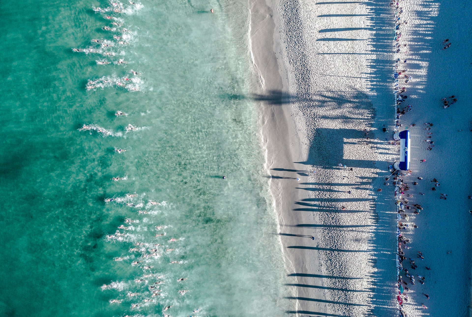 CottB002 - Rottnest Swim, Cottesloe Beach, W.A.