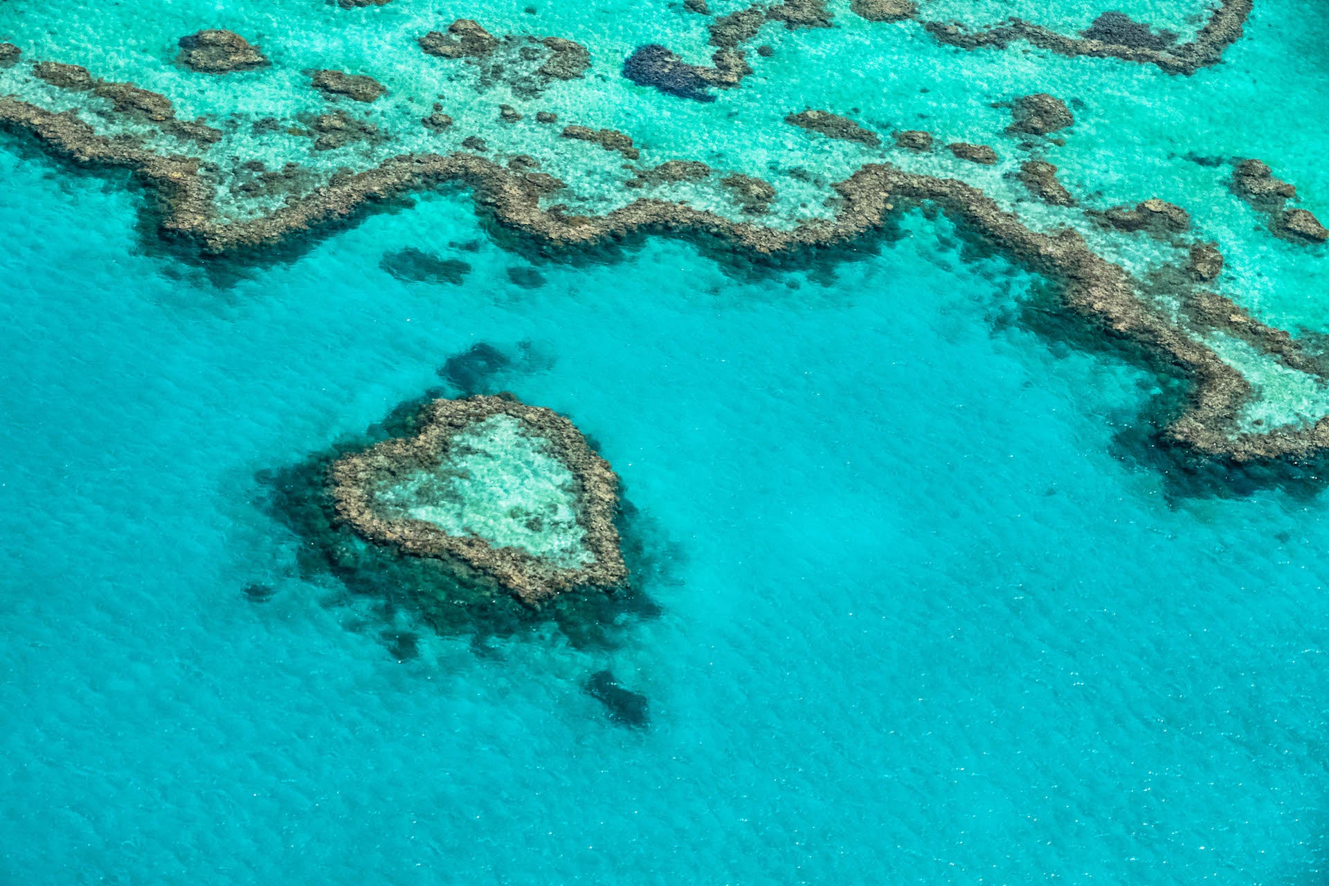 GBR001 - Great Barrier Reef, QLD.