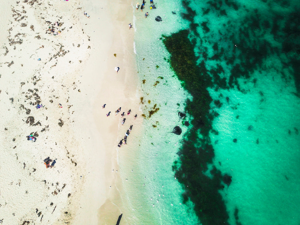 HB002 - Hamelin Bay, W.A.