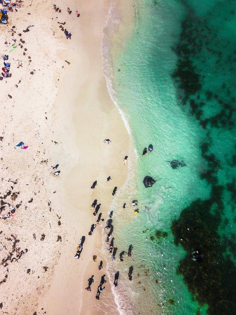 HB004 - Hamelin Bay, W.A.