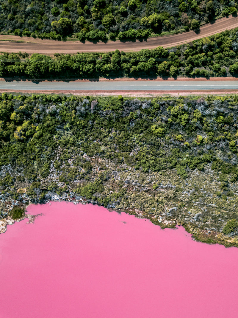 PG010 - Pink Lake, W.A.