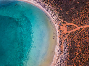 SharkBay014 - Shark Bay, W.A.